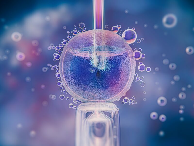 beautiful-fertility-concept-3d-rendering_23-2149230688-800x600.jpeg